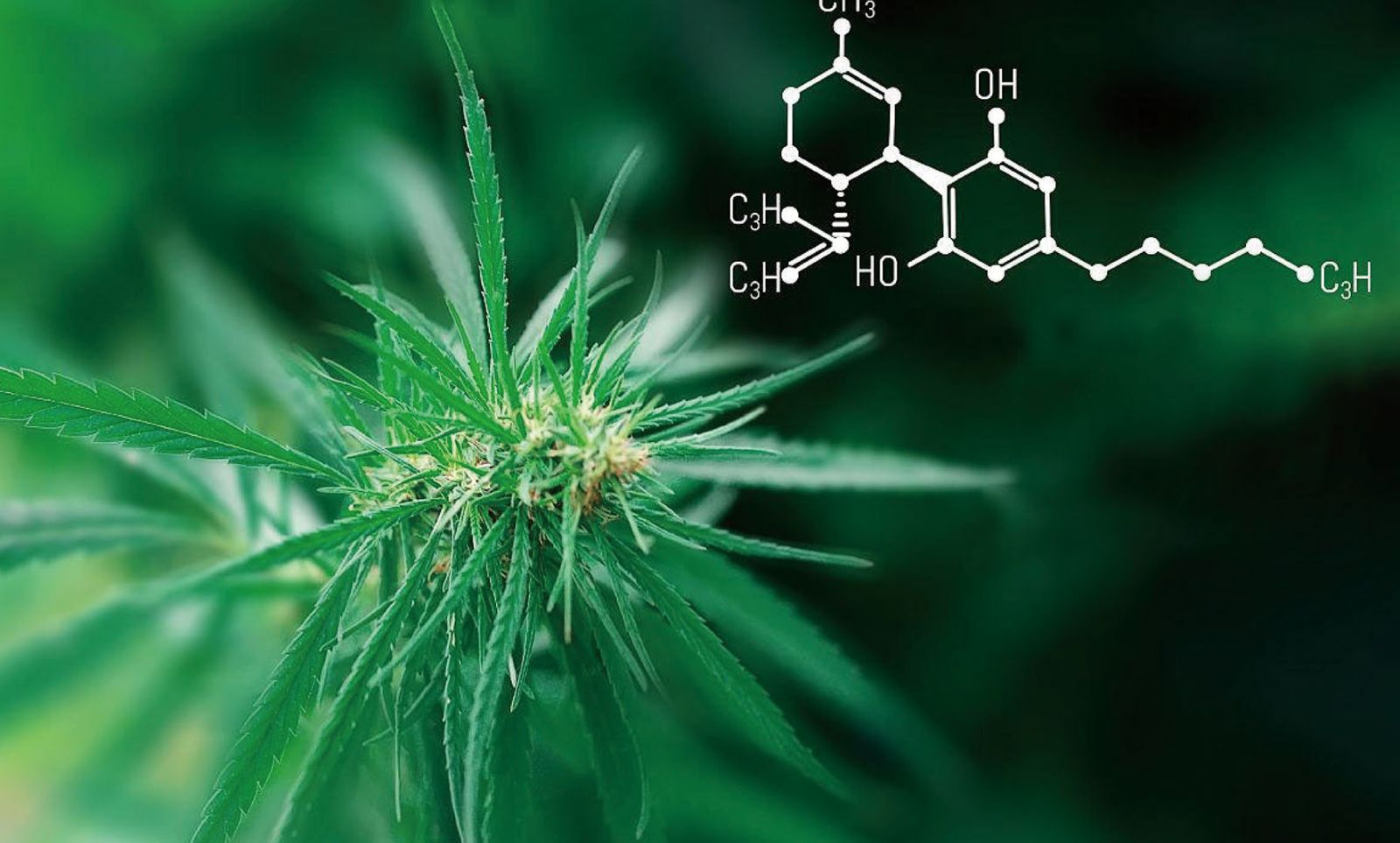 б¦GG¡¸´´ÔìÆæ¼£µÄÓÎϷƽ̨¡¹