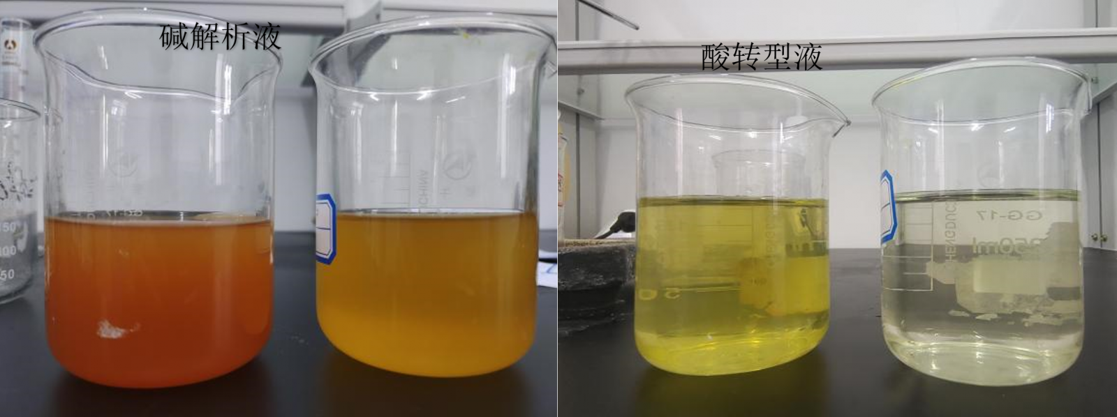 新宝GG「创造奇迹的游戏平台」