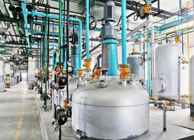 ��֬��������