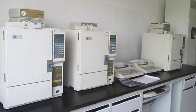 ����ɫ����