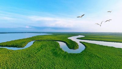 ����ˮ���뻭�������������������±�gg�����漣���Ư���й���̬��ɫ